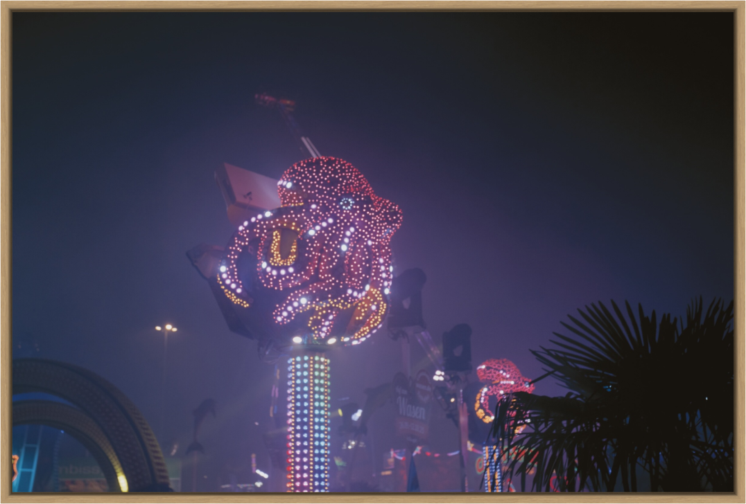 Main image Night Creatures